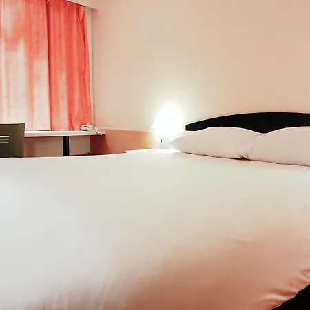 Ibis Porte De Geneve 3*