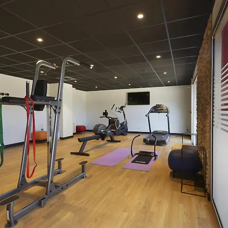 Ibis Porte De Geneve